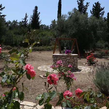 Katia * Tsoukaládhes