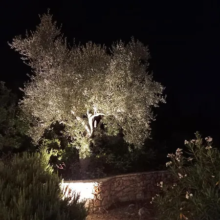 Villa Katia *