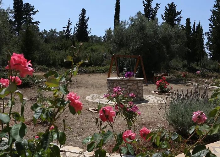 Katia * Tsoukaládhes