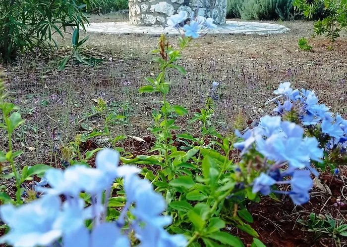 Villa Katia Tsoukaládhes