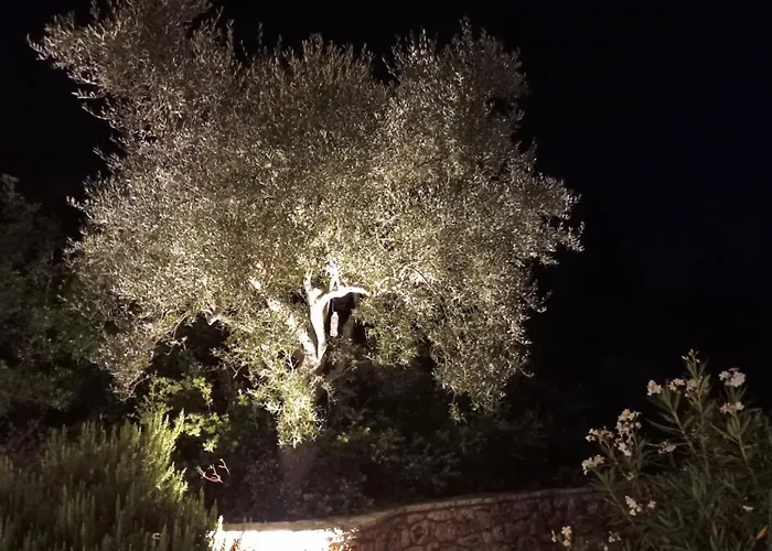 Villa Katia *